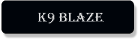 K9 Blaze