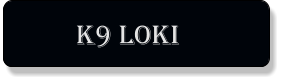 K9 loki