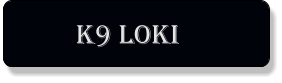 K9 loki